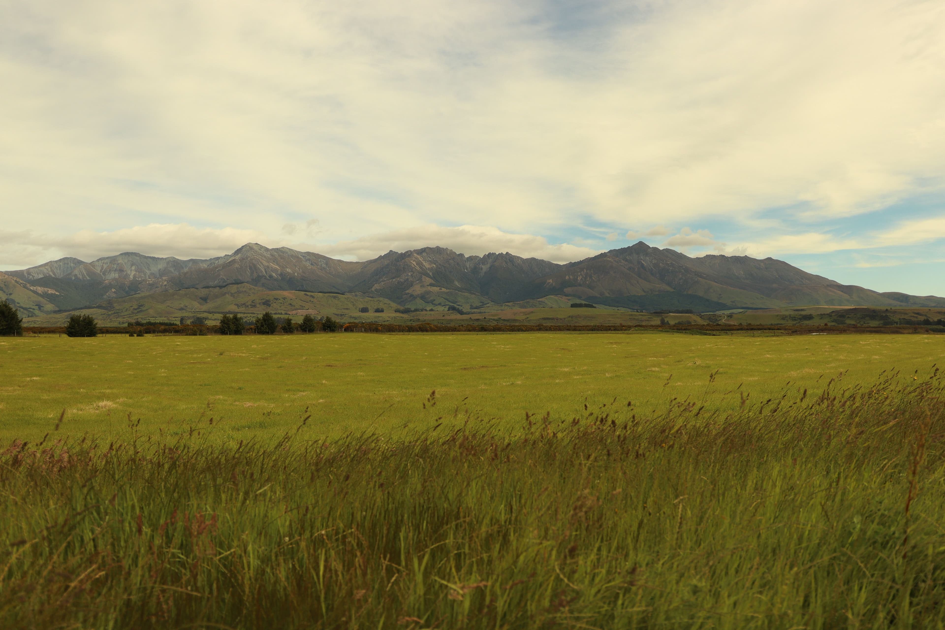 Farmland New Zealand