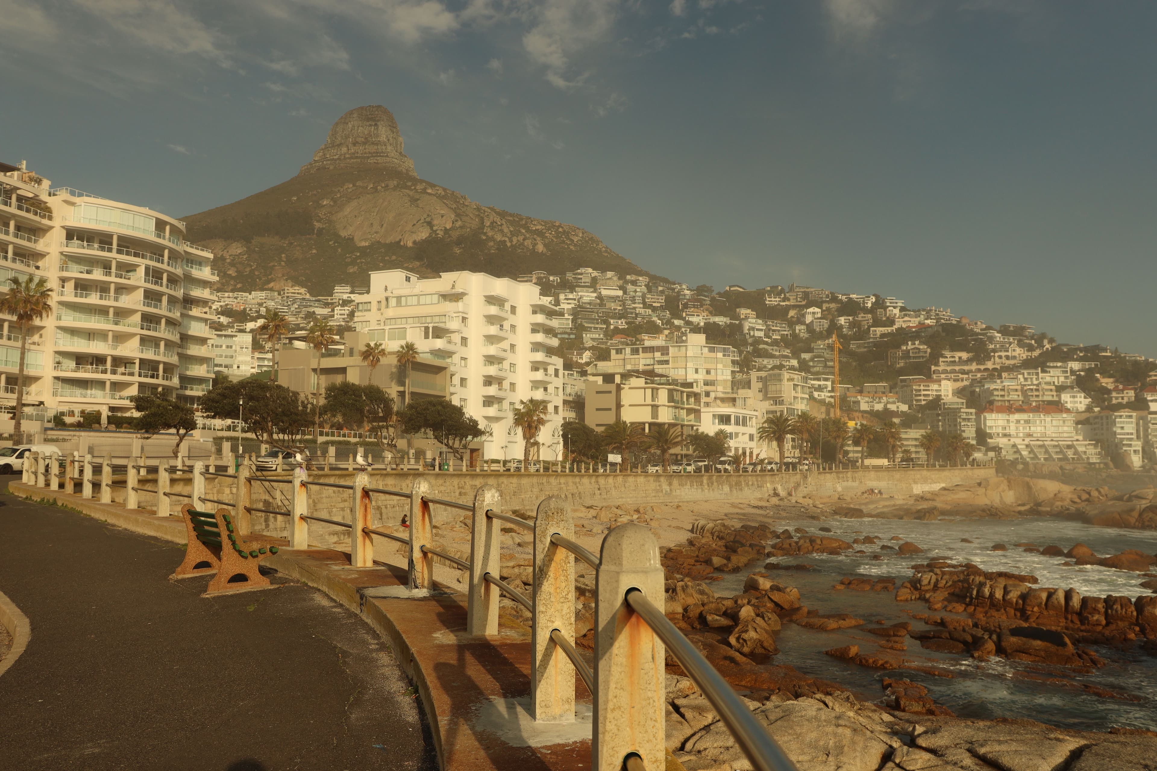 Misty Lion's Head